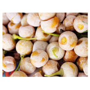 Stock en vrac disponible de noix de Ginkgo biologiques séchées aux prix les plus bas - Product Image 6