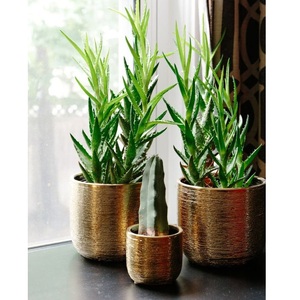 Maceta de Metal Dorada con Aspecto Elegante, Decoración de Lujo para Interiores, Hogar, Hotel, Restaurante - Product Image 4