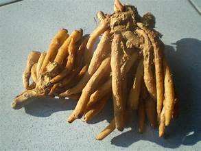 รากสมุนไพรจากธรรมชาติคราไคแช่แข็งสำหรับการรับประทานอาหารที่สะอาดและการสนับสนุนทางเดินอาหารโดยไม่มีสารเติมแต่ง - Product Image 4