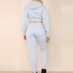 Ensemble de sweats à capuche courts en coton pour femmes, de haute qualité, décontractés, pour l'hiver, grandes tailles, logo personnalisé, 2 pièces, hauts courts en polaire, faible MOQ - Product Image 2