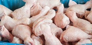 "Baquetas de pollo asequibles a la venta, ideales para cocinar, barbacoa y asar a la parrilla a precios bajos, frescas y de calidad premium" - Product Image 5