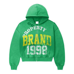 2025 plaine de haute qualité vierge poids lourd polaire pleine fermeture éclair à capuche Logo personnalisé femmes fermeture éclair sweats à capuche et sweat-shirts basiques à capuche - Product Image 5