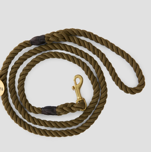 Collar de perro sabueso de cuero verde de alta calidad para galgo y Whippet - Product Image 3