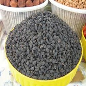 Semillas de Jatropha Secas, Grado Alimenticio, Cultivadas Silvestremente, Extracto de Aceite, Envasadas en Tambor para Exportación Mundial a Precio Económico - Product Image 3