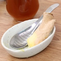 Râpe manuelle en acier inoxydable pour ail, gingembre, fruits et légumes, avec cuillère intégrée