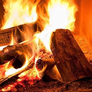 Liberación de energía Leña de pino seca/Leña de acacia y troncos de leña de roble a precio de fábrica - Product Image 4