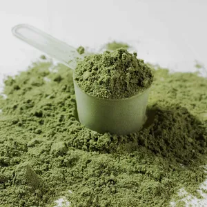 Polvo de Moringa Fino Hecho con Hojas de Moringa 100% Frescas en Vietnam - Product Image 1