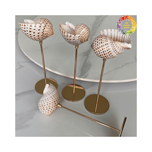 Verres à martini coquillage faits à la main/tasse d'escargot de luxe avec une apparence exquise. Tasse en coquille d'escargot naturel pour boissons haut de gamme. - Product Image 5