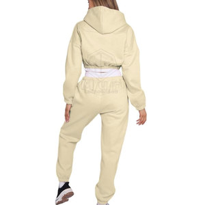 Venta caliente Señoras Tallas grandes Chándal de invierno Tamaño personalizado Patrón sólido Crop Top con capucha Bajo MOQ Conjunto de ropa deportiva para mujer - Product Image 4