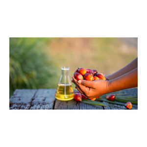 Huile de palme en gros, prix réduit, huile de cuisson fraîche et de haute qualité - Product Image 2