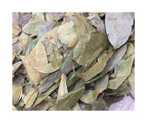 Natural Dried Soursop Leaves - Distinctive Herbal <b>Fragrance</b> and Low Microbial Level Dried Soursop Leaves for Health Market - Product Image 5