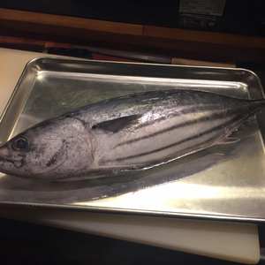 Thon rouge entier congelé IQF de qualité supérieure, carton de 10 kg, produits de la mer chinois certifiés HACCP, capture légère - Product Image 4