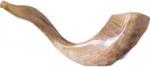 Cuerno de carnero pulido Kosher Shofar Kudu de alta calidad para Rosh Hashanah Shofar de cuerno Natural para soplar - Product Image 2