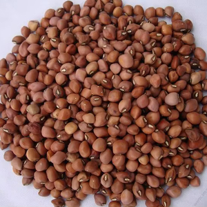 Haricots rouges en vrac 25 kg à vendre - Product Image 1