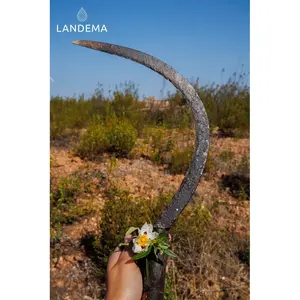 แลบดานัม - Product Image 5