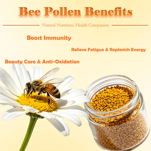 Gomitas de Polen de Abeja, Fabricante de Marca Privada OEM, Suplemento para Energía y Apoyo Inmunológico, Suministro al por Mayor - Product Image 2