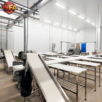 Équipement d'abattage de porcs 450 unités par service, ligne de machines d'abattage de porcs, machinerie de boucherie porcine, atelier de transformation du porc USDA