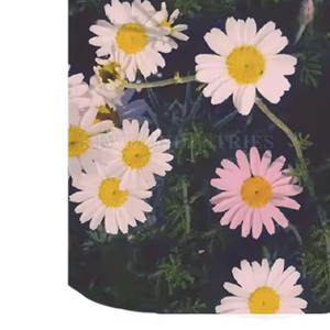 NOVEDAD DE VERANO 2025, camiseta de manga corta con estilo para niños, camiseta de sublimación de bambú con estampado de Hip Hop de gran tamaño - Product Image 5