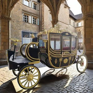 عربة حصان بوني ملكية كهربائية للنقل الخاص بواسطة عربة تجرها الخيول - Product Image 3