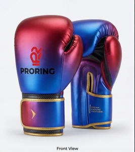 PRORING Elite Leather <b>Boxing</b> Gear <b>Set</b> Metallic <b>Sparring</b> Gloves - Product Image 1