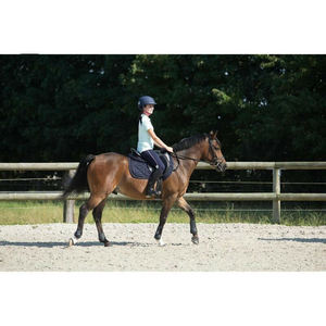 Sudadero de Media Silla de Algodón de Alta Calidad 2024, Forrado de Algodón con Relleno de Poliéster, Fazal Meeran para Montar a Caballo - Product Image 5