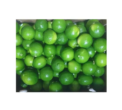 Không hạt Lime 100% tự nhiên tốt nhất hương vị tốt nhất bán tốt nhất cho sức khỏe loạt các giá toàn Bộ bán đóng gói trong hộp Việt Nam