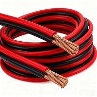 Fil plat flexible multiconducteur à double brin 600V, isolé en caoutchouc silicone, cuivre étamé, 100m MOQ, applications de construction