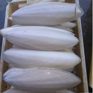 Fournisseur de seiche en os de poisson, seiche séchée en os naturel de grande quantité - Product Image 3