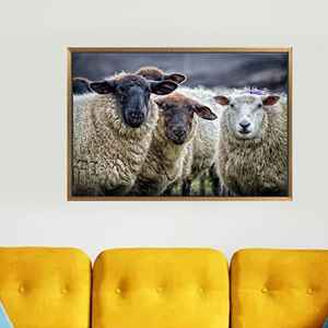 Impression sur toile élégante avec motif de mouton pour la décoration de bureau, mur de ferme, 1P : encadré or - Product Image 1