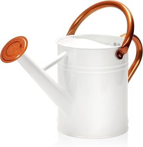 Confort classique L'arrosoir en métal pour votre jardin Saupoudrer d'arrosoirs en métal Grace pour votre jardin - Product Image 1