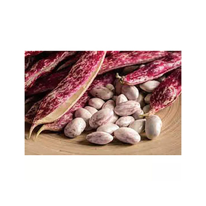 Haricots roux de haute qualité, légers et mouchetés, séchés par procédé AD, type long/rond, pour usage alimentaire, emballage en vrac, Brésil, 25 kg, 24 - Product Image 4