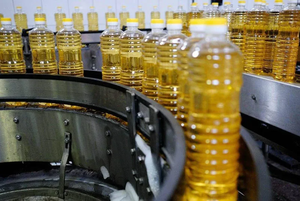 Aceite de girasol refinado de aceite de cocina vegetal puro 100% para exportación - Product Image 6