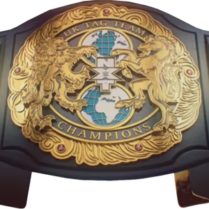 Cinturones de campeonato de lucha libre Trofeos Medallas y premios el símbolo definitivo de Victoria y excelencia Cinturones de Campeonato - Product Image 1