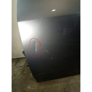 PORTA ANTERIORE SINISTRA SKODA Roomster 1a Serie 5J7831055 CGPA (06>) - Product Image 2
