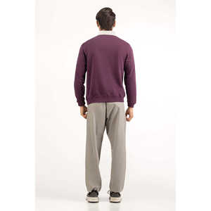 Sudadera de Corte Regular para Hombre MN-SWS-WS24-011 - Product Image 4