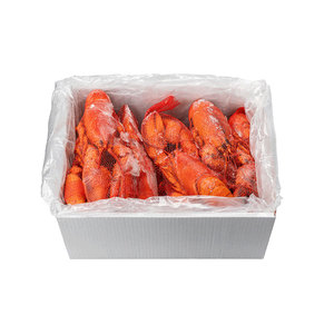 Vente en gros de langouste canadienne vivante congelée avec queue de homard Homard européen en vrac Distribution de fruits de mer - Product Image 2