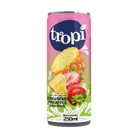 Tropi 250Ml Blik Vers Gemengd Vruchtensap Frisdrank-Vers En Gezond-Private Label Fabrikant Vietnam Custom Logo
