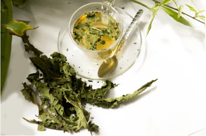 ผงสารสกัดจากใบมะละกอบริสุทธิ์ผลิตภัณฑ์จากธรรมชาติ100% ผลิตภัณฑ์เสริมอาหาร - Product Image 6