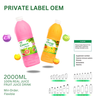 Private Label - 100% Natuurlijk Fruit Hoge Kwaliteit Fruchtsap 2 Liter Blik - Fabrikant van Frisdranken - Gratis Monster