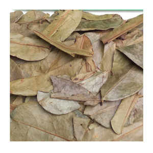 Feuilles de corossol de qualité supérieure 100% biologiques, séchées au soleil, prêtes pour l'exportation mondiale du Vietnam au prix le moins cher - Product Image 1