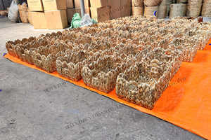 Scallop Natural Living Room Decoration for <b>Bathroom</b> Water Hyacinth Storage <b>Basket</b> - Product Image 6