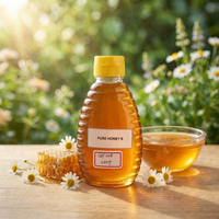 Miel naturel 250g 8,82 oz Bouteille de miel doré pur pour le thé, le petit-déjeuner, la pâtisserie et l'usage quotidien