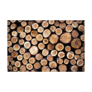Bois de chauffage en teck durable disponible en vente en gros pour le chauffage - Product Image 1