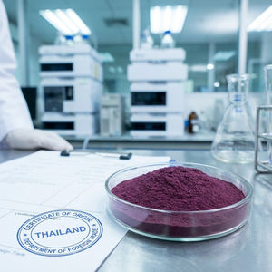 Extrait de gingembre noir Kaempferia Parviflora Poudre de racine <span class=keywords><strong>10</strong></span> 1 Énergie Endurance Libido Soutien Complément alimentaire naturel à base de plantes - Product Image 5