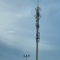 Poteau monopode en acier galvanisé résistant aux vents forts pour la communication mobile