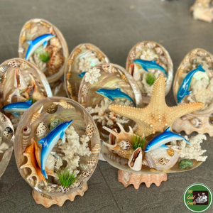Décoration artisanale en coquillages naturels pour la décoration intérieure et les fournitures de artisanat sur mesure, Vietnam - Product Image 6