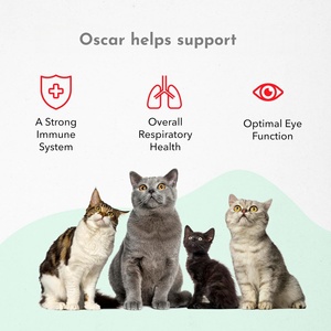 NHAI êm dịu cho mèo-giảm lo âu cho mèo + Giúp giảm căng thẳng-Hỗ trợ hành vi & thúc đẩy thư giãn - Product Image 2