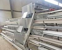 Nouveau système de cages automatiques à haute efficacité pour poules pondeuses avec automatisation complète de la ferme, alimentation automatique, gain de place