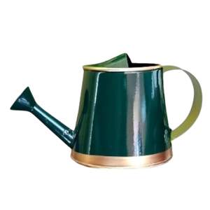 Regadera para plantas, regadera de metal para niños para cocina, jardín, lata de agua, jardín doméstico - Product Image 1
