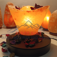 Lampe de sel de l'Himalaya sculptée de qualité supérieure JOBAK, forme bateau, style Feng Shui, base en bois, toucher réel, purificateur d'air, multicolore